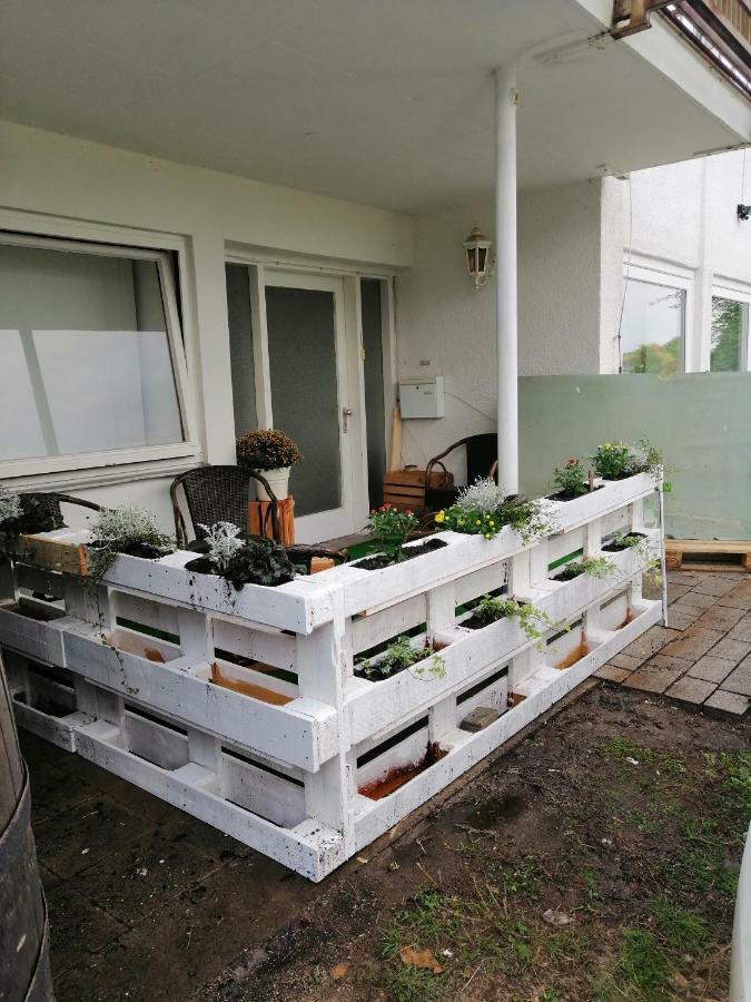 Apartment Froschkoenig Gladenbach Экстерьер фото