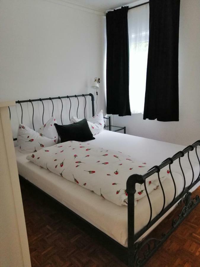 Apartment Froschkoenig Gladenbach Экстерьер фото